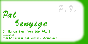 pal venyige business card